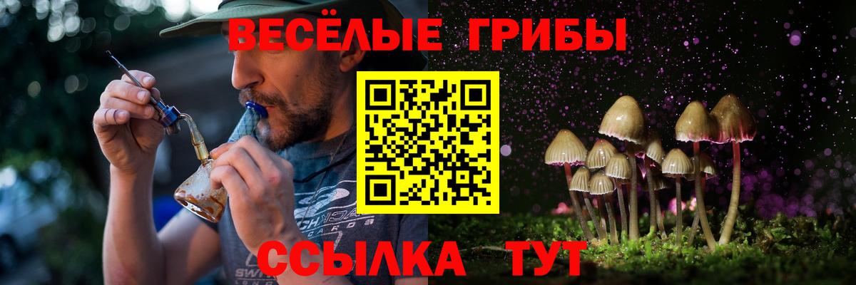 Будённовск  Галлюциногенные грибы мухоморы  Вход с VPN 